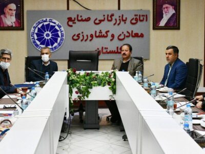 نشست هم اندیشی مانع زدایی برخی واحد های تولیدی