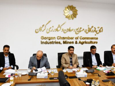 هشتمین جلسه کارگروه تسهیل و رفع موانع تولید استان گلستان