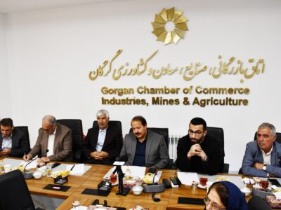 نشست تخصصی بررسی مشکلات بانوان در زمینه صنایع دستی