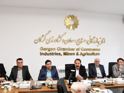 نشست هم اندیشی بررسی چالش های صنعت میگوی استان گلستان