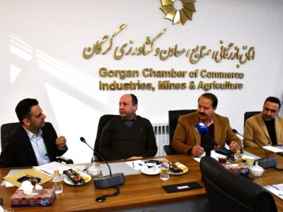 نشست هم اندیشی اعضای هیئت مدیره انجمن شرکت های دانش محور و فناوری های پیشرفته با ردیس پارک علم و فناوری استان گلستان