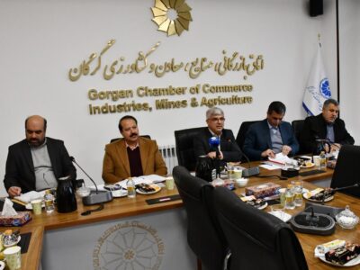 سی و سومین جلسه کارگروه ستاد تسهیل و رفع موانع تولید