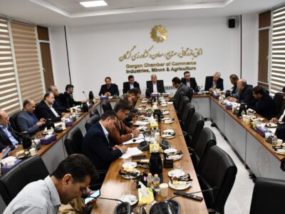 اولین جلسه کارگروه تنظیم بازار استان گلستان در سال 1404