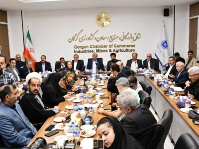 بررسی چالش‌های کسب‌وکار و نقش مهارت‌آموزی در نشست فعالان اقتصادی گلستان با وزیر کار